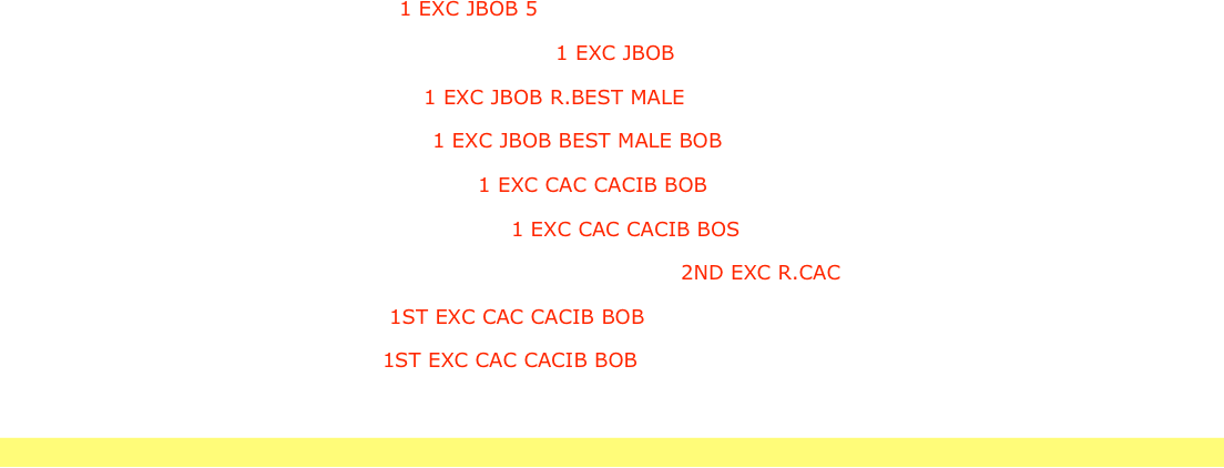 

13.08.2014 IDS UDINE JUNIOR CLASS 1 EXC JBOB 5
             
14.08.2014  IDS GRADISCA D’ISONZO JUNIOR CLASS 1 EXC JBOB
            
07.09.2014  IDS TRIESTE JUNIOR CLASS 1 EXC JBOB R.BEST MALE  

09.11.2014 NDS CESENSA JUNIOR CLASS 1 EXC JBOB BEST MALE BOB

13.03.2015 IDS PARMA INTERMEDIATE CLASS 1 EXC CAC CACIB BOB

14.03.2015 IDS PIACENZA INTERMEDIATE CLASS 1 EXC CAC CACIB BOS

04.10.2015 ALL RETRIEVER CLUB SHOW SINALUNGA OPEN CLASS 2ND EXC R.CAC

28.11.2015 IDS ROMA2 OPEN CLASS  1ST EXC CAC CACIB BOB

29.11.2015 IDS ROMA3 OPEN CLASS 1ST EXC CAC CACIB BOB


                                                                                                
