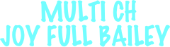 
 MULTI CH 
JOY FULL BAILEY