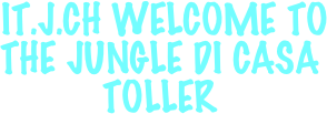 
 IT.J.CH WELCOME TO THE JUNGLE DI CASA TOLLER