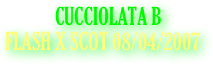             CUCCIOLATA B
FLASH X SCOT 08/04/2007