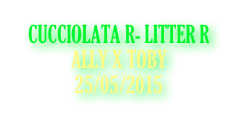 CUCCIOLATA R- LITTER R
ALLY X TOBY
25/05/2015