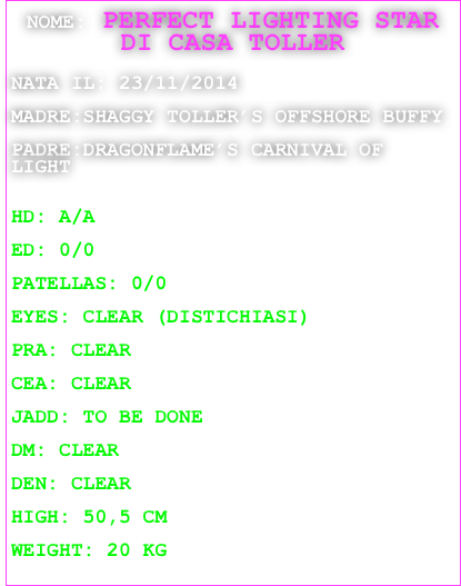 NOME: PERFECT LIGHTING STAR DI CASA TOLLER 

NATA IL: 23/11/2014

MADRE:SHAGGY TOLLER’S OFFSHORE BUFFY

PADRE:DRAGONFLAME’S CARNIVAL OF LIGHT


HD: A/A

ED: 0/0

PATELLAS: 0/0

EYES: CLEAR (DISTICHIASI)

PRA: CLEAR 

CEA: CLEAR

JADD: TO BE DONE

DM: CLEAR

DEN: CLEAR

HIGH: 50,5 CM

WEIGHT: 20 KG
