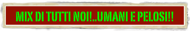 MIX DI TUTTI NOI!..UMANI E PELOSI!!