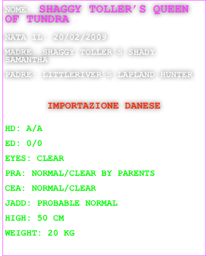 NOME: SHAGGY TOLLER’S QUEEN OF TUNDRA

NATA IL: 20/02/2009

MADRE: SHAGGY TOLLER’S SHADY SAMANTHA

PADRE: LITTLERIVER’S LAPLAND HUNTER



IMPORTAZIONE DANESE


HD: A/A

ED: 0/0

EYES: CLEAR

PRA: NORMAL/CLEAR BY PARENTS

CEA: NORMAL/CLEAR

JADD: PROBABLE NORMAL

HIGH: 50 CM

WEIGHT: 20 KG
