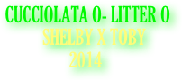     CUCCIOLATA O- LITTER O
              SHELBY X TOBY
2014