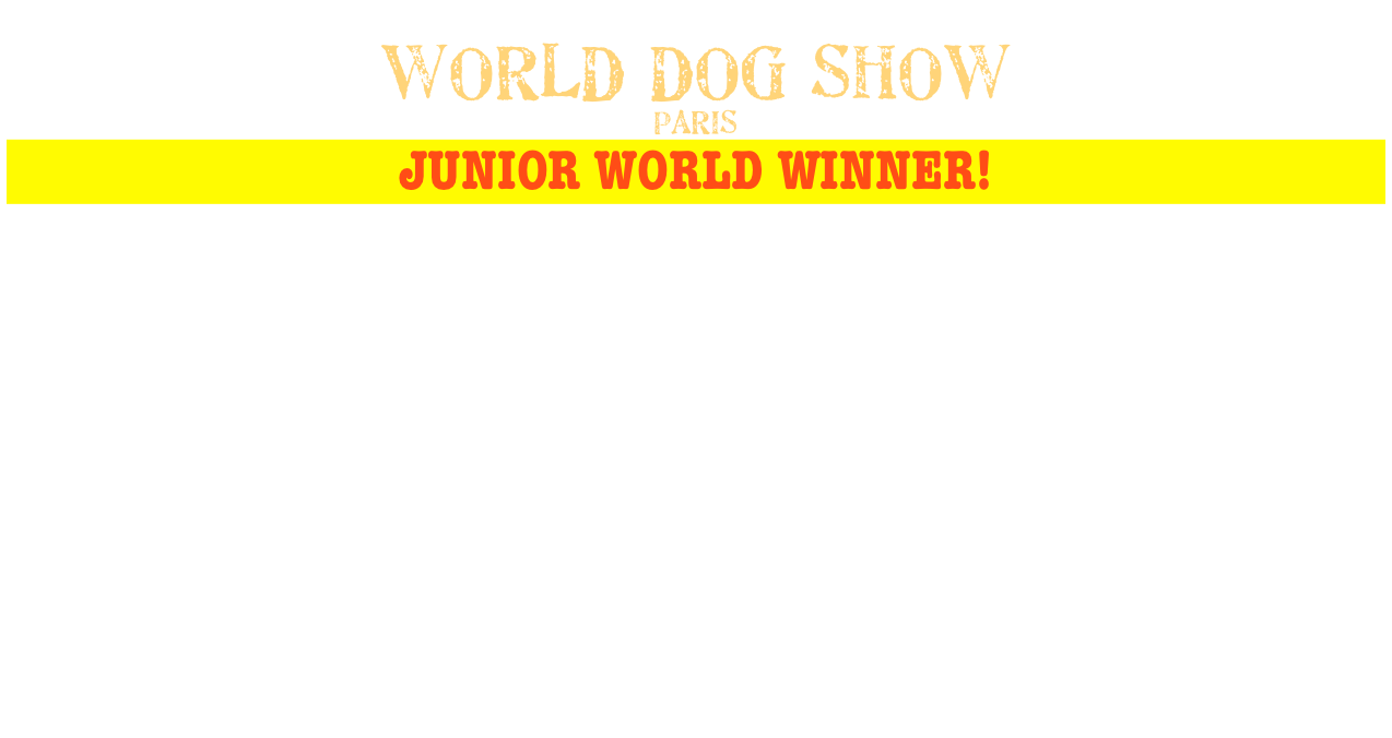                    
WORLD DOG SHOW 
PARIS
JUNIOR WORLD WINNER!