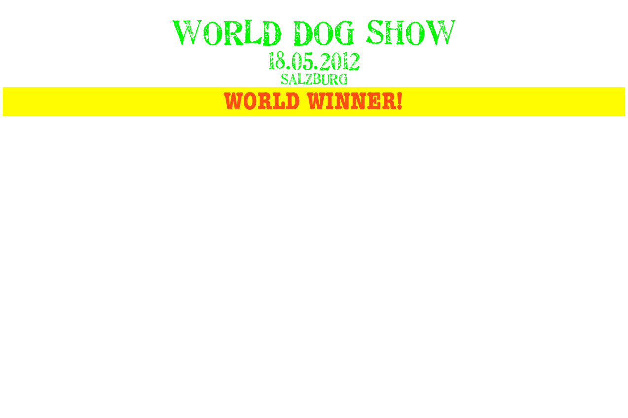                    
WORLD DOG SHOW 
18.05.2012
salzburg
WORLD WINNER!